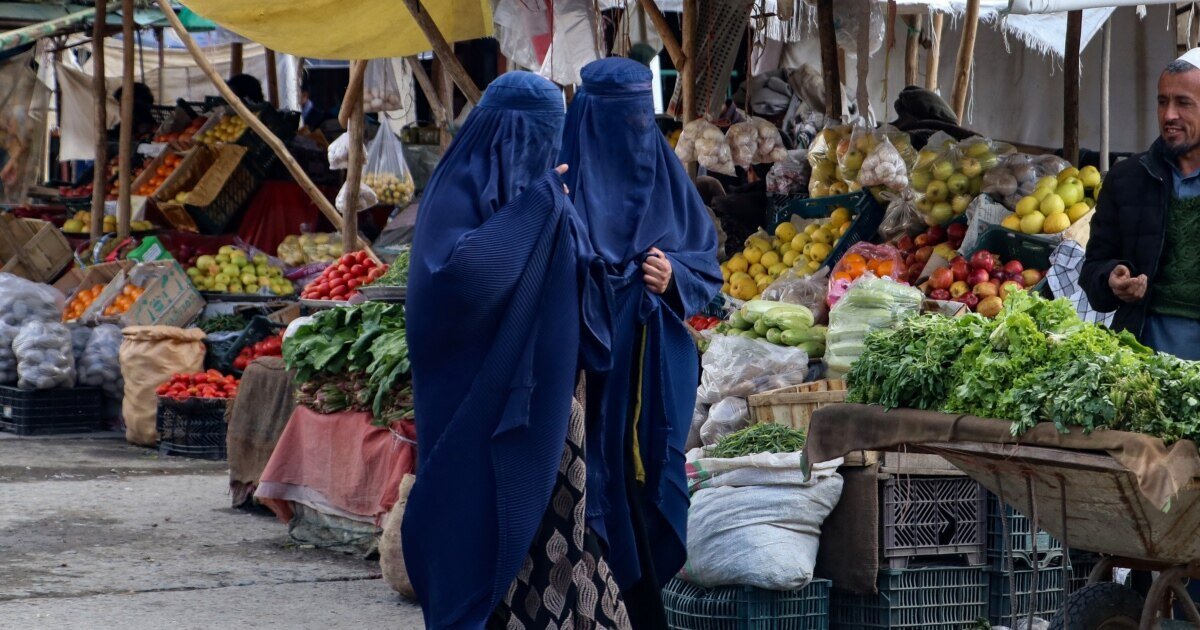 ویدئو | باغداران افغانستان در فصل برداشت و توقف صادرات و بازار کساد