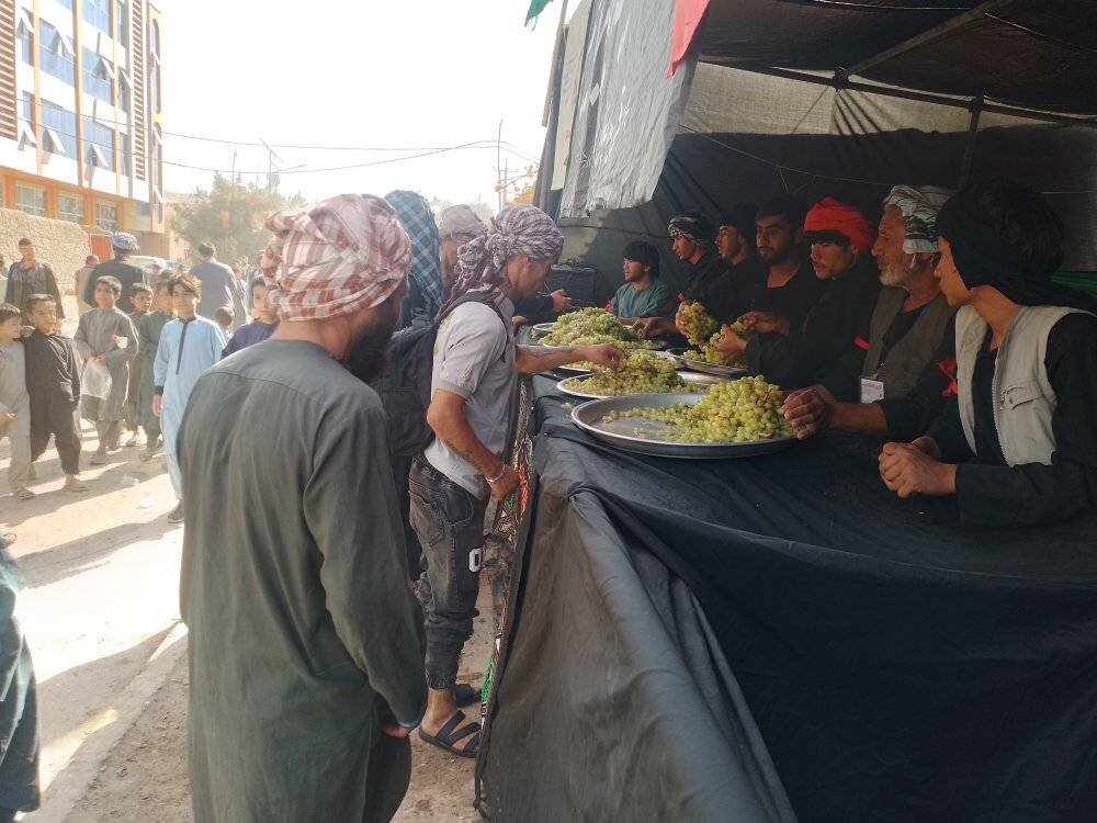 ویدیو | راهپیمایی اربعینی شیعیان افغانستان به سمت امام‌زاده یحیی(ع) شهر سرپل