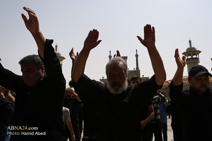 تقرير مصور/ حرم السيدة المعصومة (ع) في قم يستقبل مواكب حسينية لإحياء مراسم الأربعين