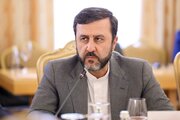 副外務大臣、国際司法裁判所副所長のイスラエル支持に反応