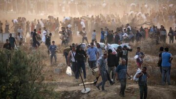 Crise em Gaza: fome pode causar 500 mortes por dia