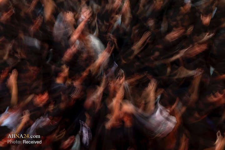 تقرير مصور/ رسالتها هذه السنة "سفينة الحسين"(ع).. عزاء قبيلة بني عامر في منطقة بين الحرمين بكربلاء المقدسة