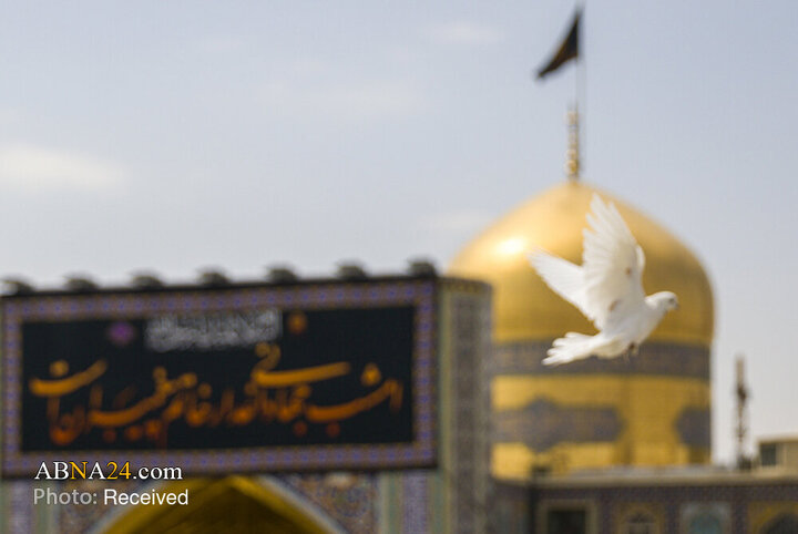 مشهد الرضا (ع) در آستانه عزای آل‌الله