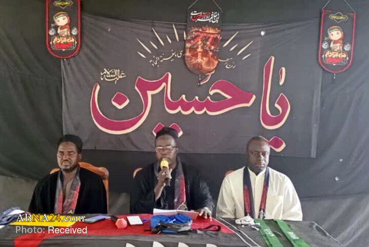 Ayînekên  bîranîna Erbaîana Huseynî li herêmên cuda yên parzemîna Afrîqayê