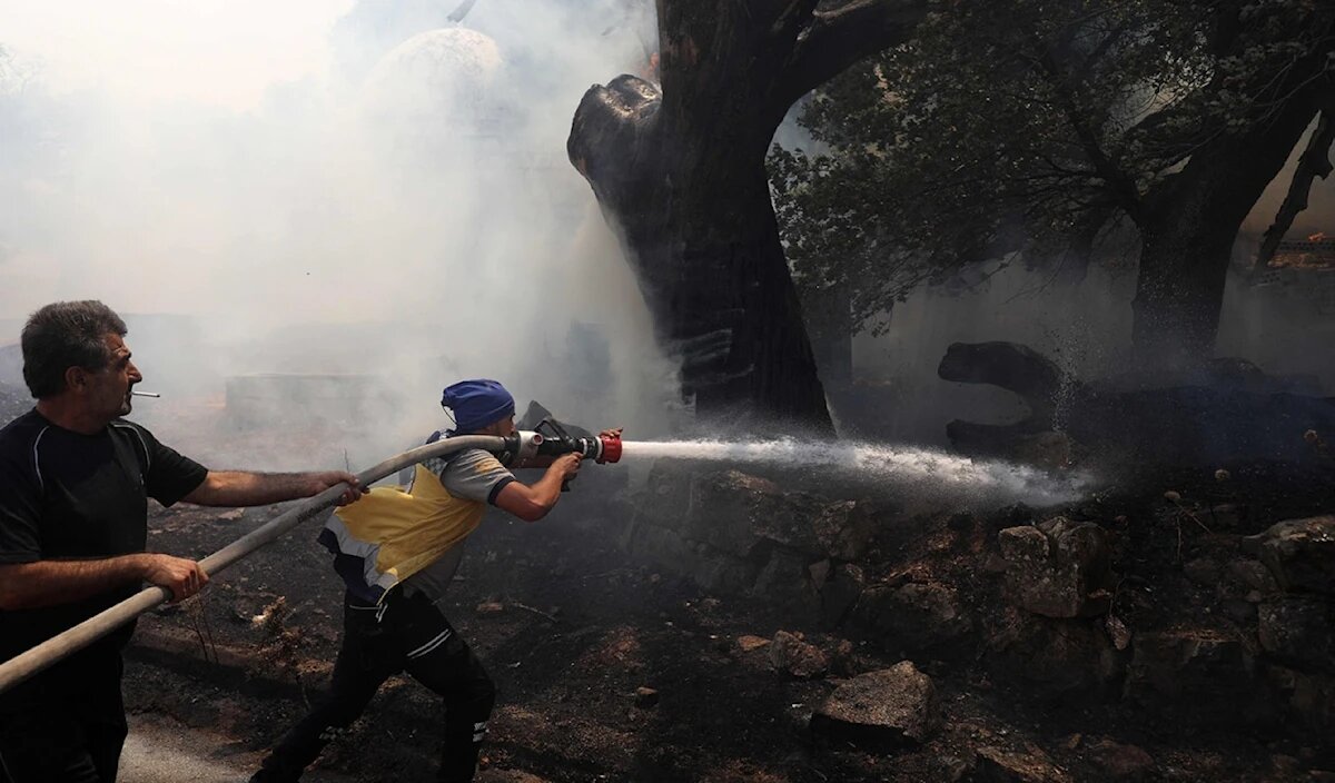 فاجعه آتش‌سوزی جنگل‌ها در سوریه در سایه حکومت جولانی