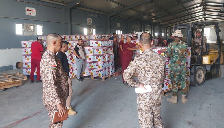 تقرير مصور/ العتبة الحسينية تحقق نجاحات كبيرة في خطته الخاصة بزيارة الأربعين من الحدود حتى كربلاء