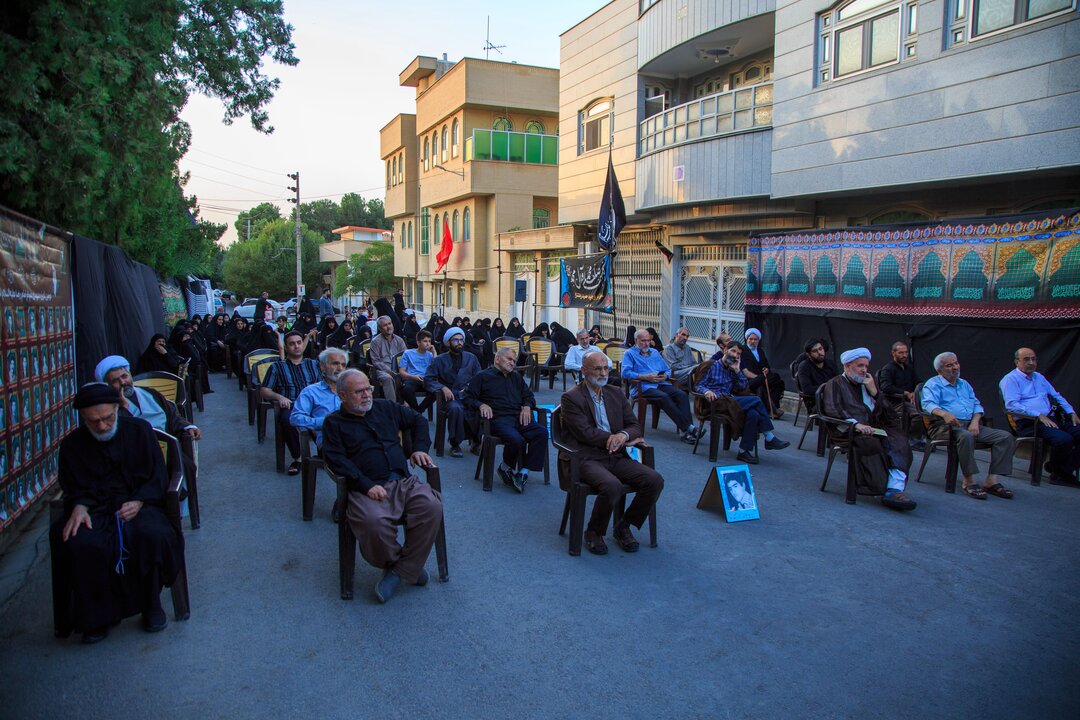 نظام سلطه، از حاکمیت اسلام ناب علوی و شیعی وحشت دارد