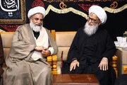 Pakistani Shia scholar meets Grand Ayatollah Bashir Najafi