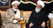پاکستانی سینیٹر علامہ راجا ناصر عباس جعفری  کی آیت اللہ العظمیٰ بشیر نجفی سے ملاقات