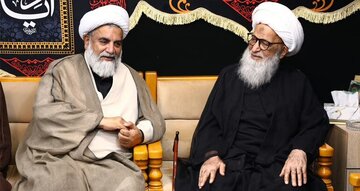 پاکستانی سینیٹر علامہ راجا ناصر عباس جعفری  کی آیت اللہ العظمیٰ بشیر نجفی سے ملاقات