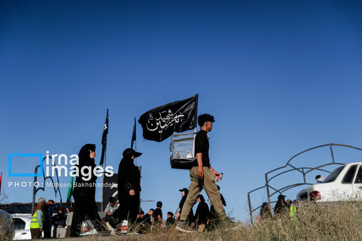 Photos: Pilgrims flock to Imam Reza holy shrine
