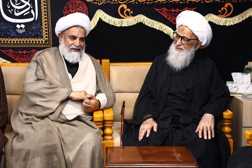 Pakistani Shia scholar meets Grand Ayatollah Bashir Najafi