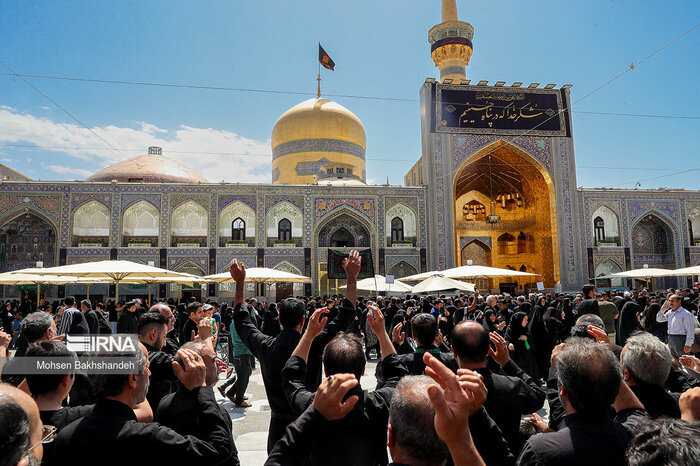 Imam Reza and Abbasid Caliphs