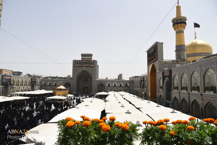 گزارش تصویری | عزاداری شهادت امام رضا (ع) در مشهد مقدس _ ۲