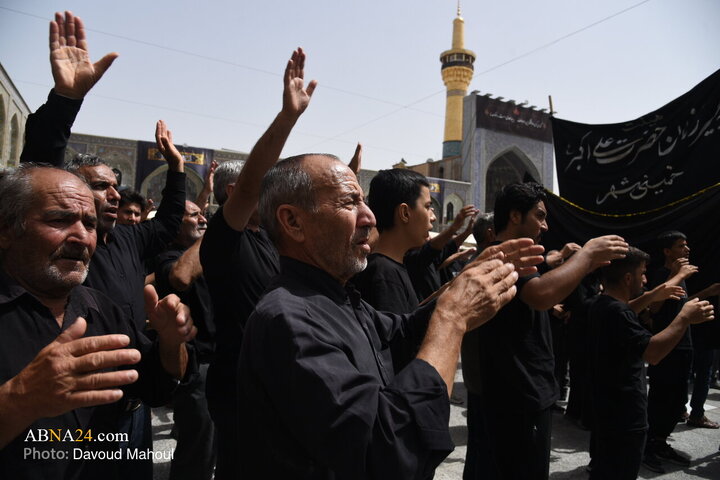 گزارش تصویری | عزاداری شهادت امام رضا (ع) در مشهد مقدس _ ۲