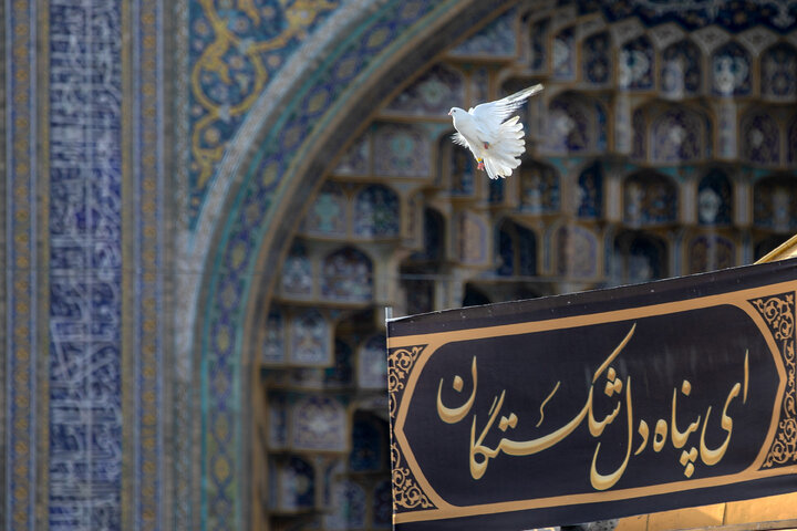 تقرير مصور/ مراسم عزاء يوم استشهاد الإمام الرضا (ع) في الحرم الرضوي الشريف