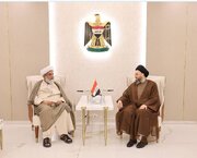 Pakistani, Iraqi Shia scholars stress Muslim unity, condemn Gaza genocide