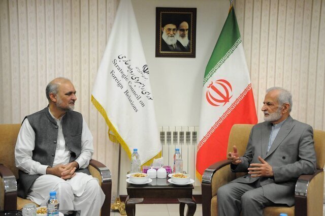 Pakistani Official Meets Kamal Kharrazi in Tehran, Hails Iran’s Role in Supporting Palestine