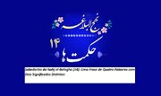 Sabedorias do Nahj al-Balagha (14): Uma Frase de Quatro Palavras com Dois Significados Distintos