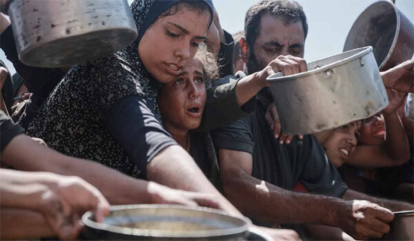 গাজায় অনাহারে ১১৯ শিশুসহ ৩১৩ জনের মৃত্যু গাজায় অনাহারে ১১৯ শিশুসহ ৩১৩ জনের মৃত্যু