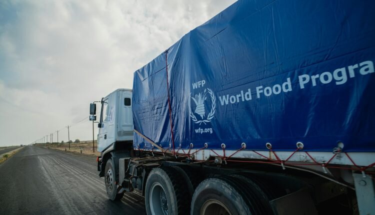 WFP: Food aid currently reaching Gaza Strip is not enough