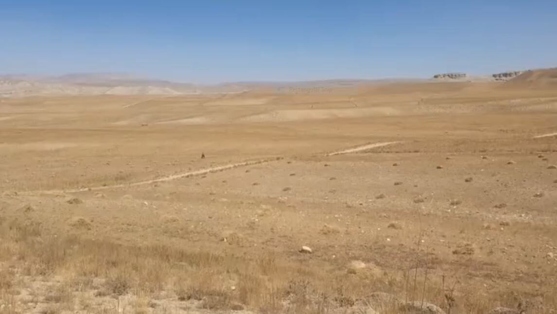 ویدیو | نگرانی فعالان محیط زیست از خشکسالی ناشی از تغییرات اقلیمی در بامیان