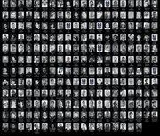 UN Rapporteur: Journalist deaths in Gaza surpass World War casualties