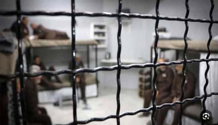 HaMoked reports 11,040 Palestinian prisoners held by Israel
