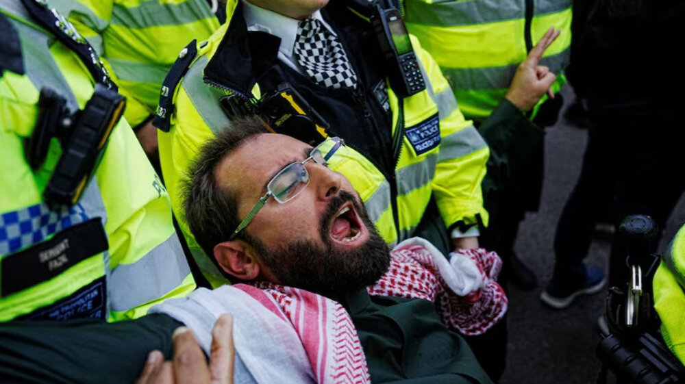 425 arrested in London as Palestine action protest sparks clash over UK terror ban