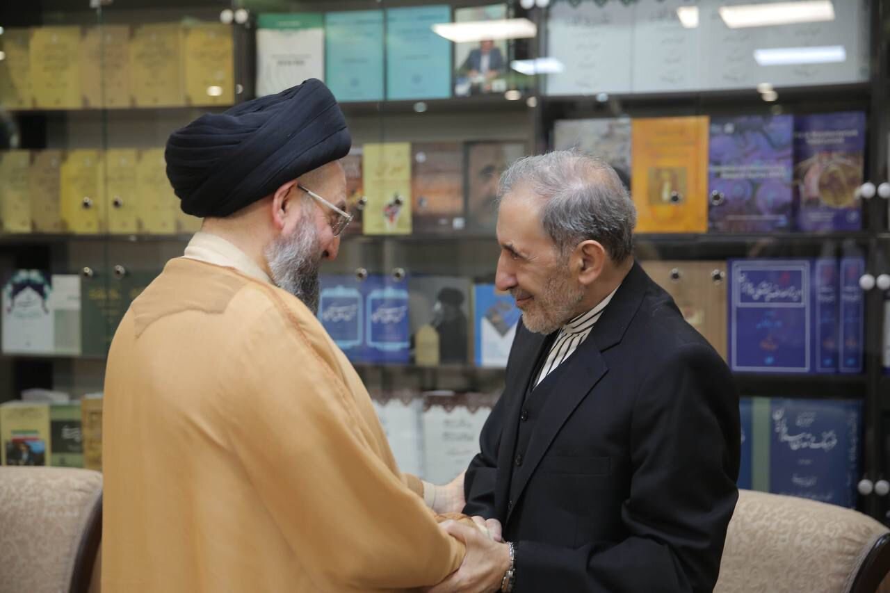 تاکید حکیم و ولایتی بر همکاری مشترک در زمینه تحقق ثبات در منطقه