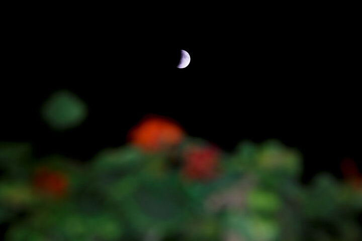 Photos: Beautiful scenes of lunar eclipse above Imam Reza holy shrine