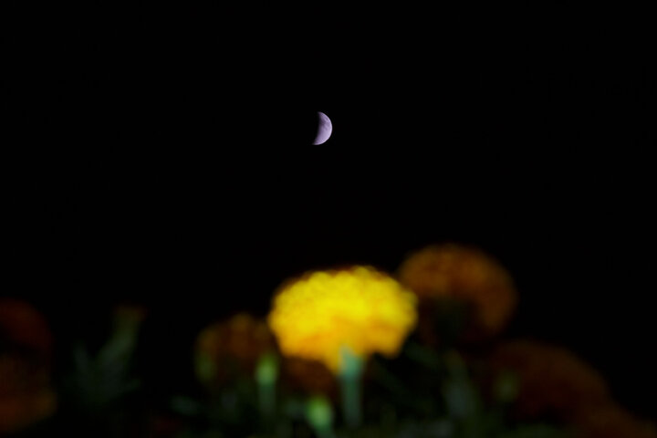 تقرير مصور/ خسوف القمر في سماء حرم الإمام الرضا (ع)