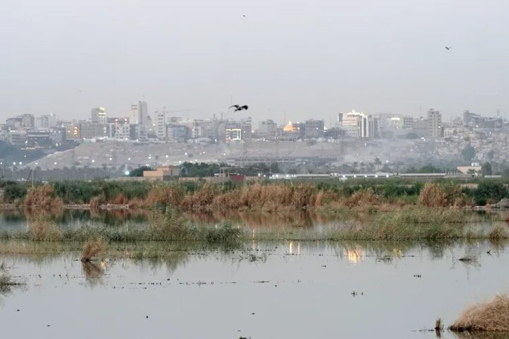 عراق کمترین ذخایر آبی تاریخ خود را تجربه می‌کند/ کیفیت آب در کربلا و نجف به‌شدت افت کرده است