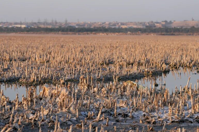 عراق کمترین ذخایر آبی تاریخ خود را تجربه می‌کند/ کیفیت آب در کربلا و نجف به‌شدت افت کرده است