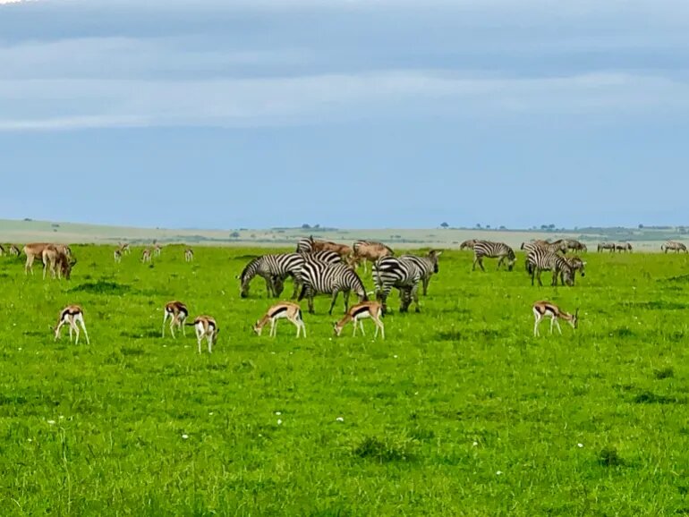 آفریقا که رسانهها تصویر آن را مخدوش کردهاند