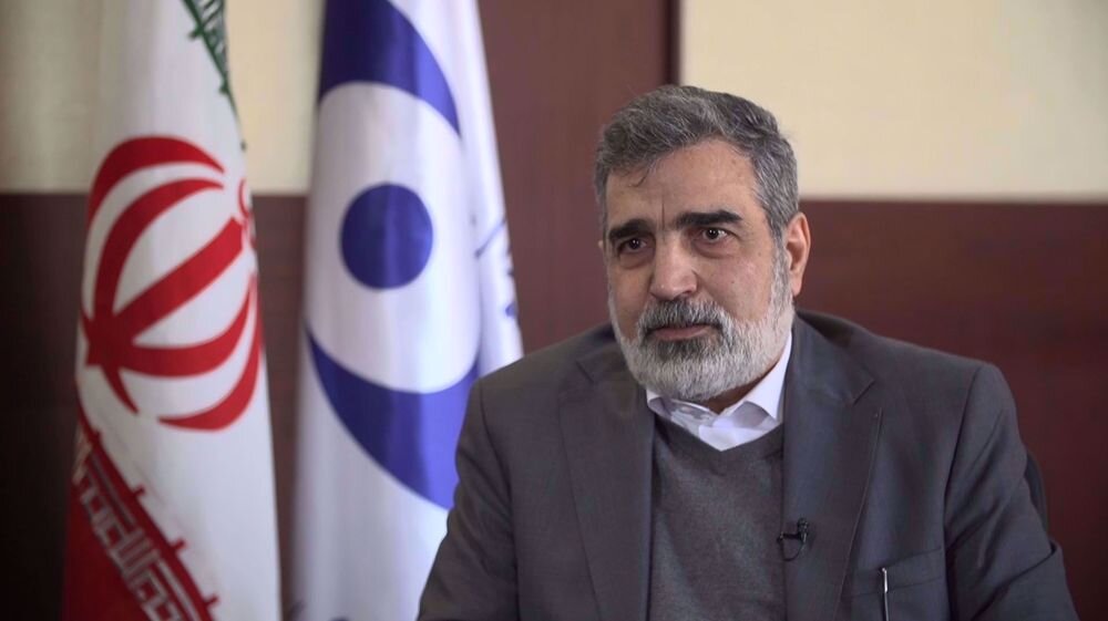 Iran's Kamalvandi says US opposes IAEA resolution