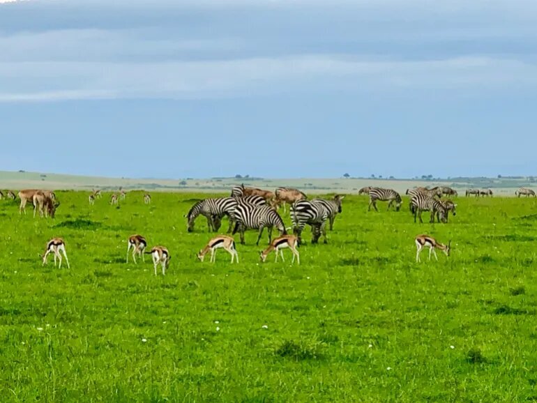 Aprika na Binabago ng Media ang Kanyang Imahe