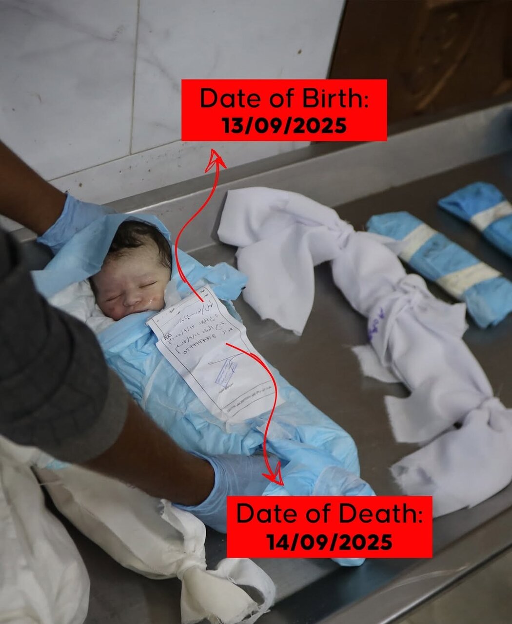 图片报道 | 加沙婴儿因封锁及药物食物短缺而死亡