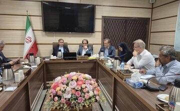 Wezareta Karên Derve ya Yemenê: Encamên lûtkeya Dohayê hêvîdarî je nebûn