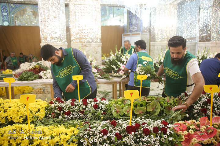 گل‌آرایی ضریح مطهر بانوی کرامت به مناسبت سالروز ورود ایشان به قم