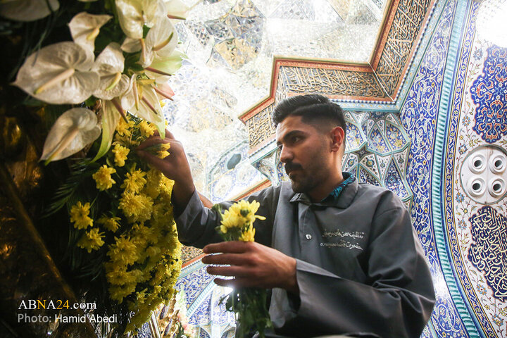 گل‌آرایی ضریح مطهر بانوی کرامت به مناسبت سالروز ورود ایشان به قم