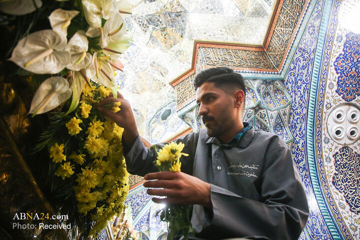 گل‌آرایی ضریح مطهر بانوی کرامت به مناسبت سالروز ورود ایشان به قم