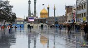 Kehadiran Hazrat Ma'soumeh AS di Qom, Pendorong Penyebaran Budaya dan Tamadun Razavi