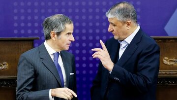 بین الاقوامی ایٹمی توانائی ایجنسی کی نااہلی اور عدم خودمختاری ناقابل معافی ہے، محمد اسلامی