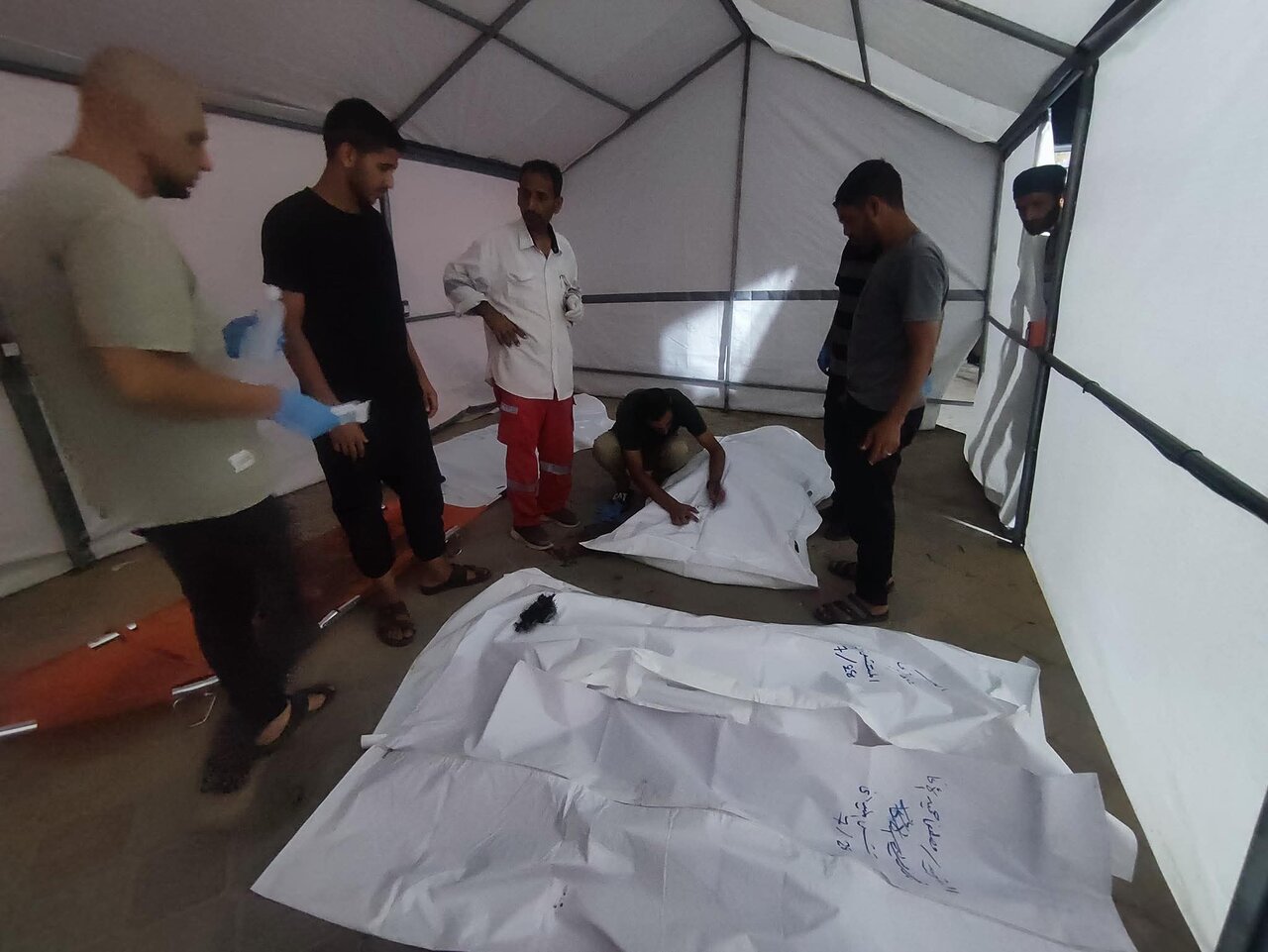 Gaza hospitals receive 59 martyrs, death toll climbs to 64,964 martyrs