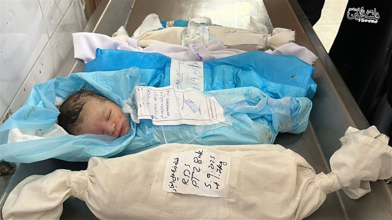 Spanish doctor shares testimony on mass killing of Gaza children: “You cannot live there”