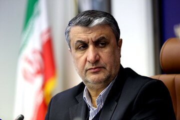 イスラミ氏：査察再開は「特別な措置」を講じることを条件とする