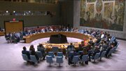 Svijet protiv američkog veta u UN-u i široka podrška flotili za Gazu / SAD nisu odobrile vize palestinskim zvaničnicima