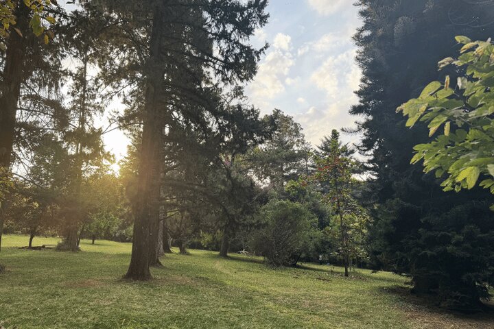 از درختان نایروبی تا گل‌های نیواشا؛ روایتی دلنشین از کنیا