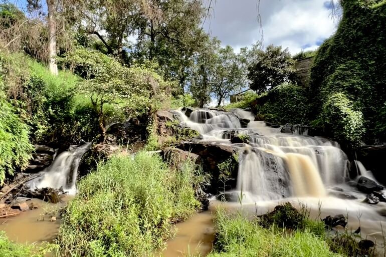 از درختان نایروبی تا گل‌های نیواشا؛ روایتی دلنشین از کنیا